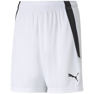 Puma TeamLIGA Kinder Shorts