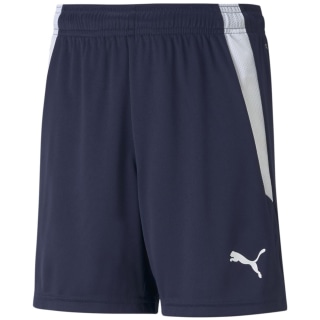 Puma TeamLIGA Kinder Shorts