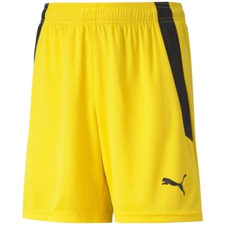 Puma TeamLIGA Kinder Shorts