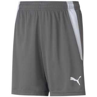 Puma TeamLIGA Kinder Shorts