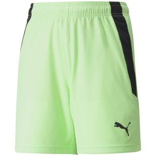 Puma TeamLIGA Kinder Shorts