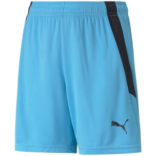 Puma TeamLIGA Kinder Shorts