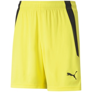 Puma TeamLIGA Kinder Shorts