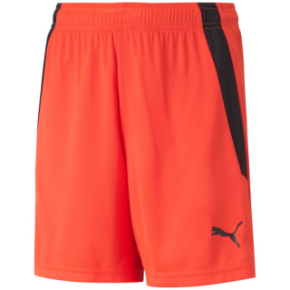 Puma TeamLIGA Kinder Shorts