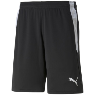 Puma TeamLIGA Referee Herren Shorts