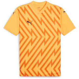 Puma teamGLORY Herren Trikot Puma teamGLORY Herren Trikot