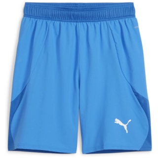 Puma teamFINAL Herren Shorts