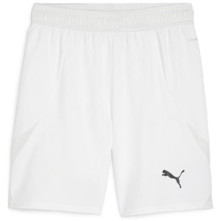 Puma teamFINAL Herren Shorts
