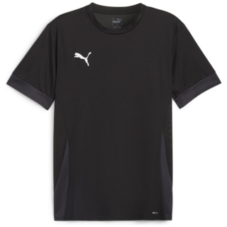 Puma teamGOAL Matchday Herren Trikot