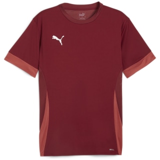 Puma teamGOAL Matchday Herren Trikot