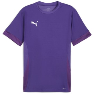 Puma teamGOAL Matchday Herren Trikot