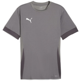 Puma teamGOAL Matchday Herren Trikot