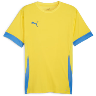 Puma teamGOAL Matchday Herren Trikot