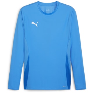 Puma teamGOAL Herren Trikot