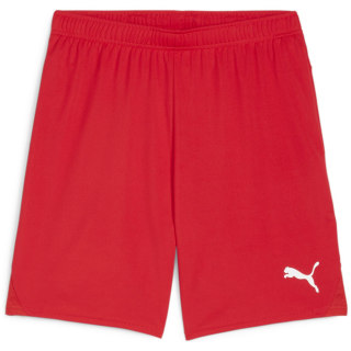 Puma teamGOAL Herren Shorts