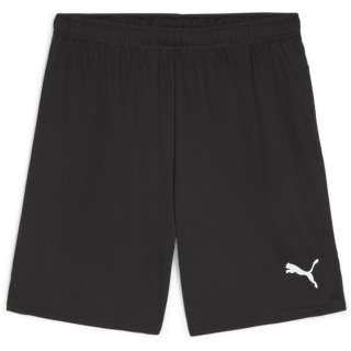 Puma teamGOAL Herren Shorts