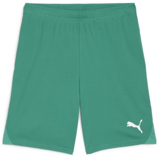 Puma teamGOAL Herren Shorts