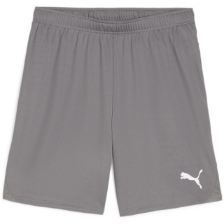 Puma teamGOAL Herren Shorts