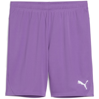 Puma teamGOAL Herren Shorts