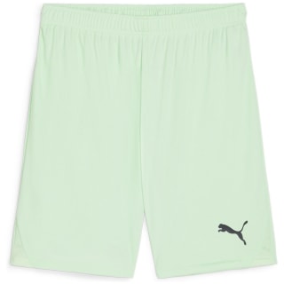 Puma teamGOAL Herren Shorts