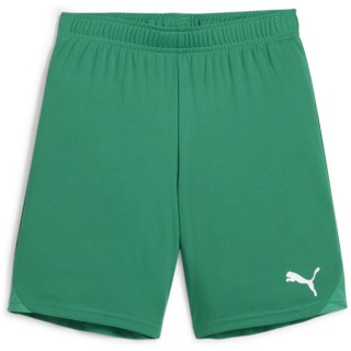 Puma teamGOAL Junior Kinder Shorts