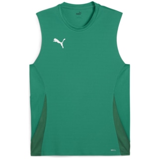 Puma teamGOAL Herren T-Shirt