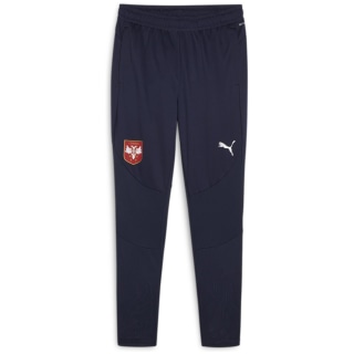 Puma FSS Training Herren Trainingshose