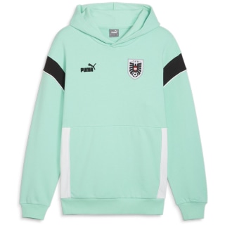 Puma ÖFB FtblArchive Herren Kapuzensweater