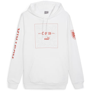 Puma ÖFB Ftblicons Herren Kapuzensweater