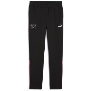 Puma SFV FtblArchive Track Herren Trainingshose
