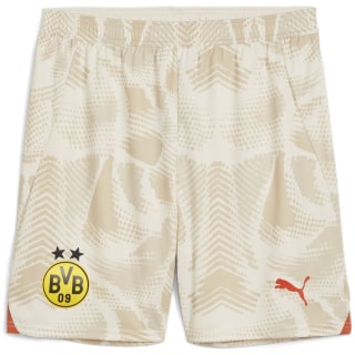 Puma Borussia Dortmund GK Replica