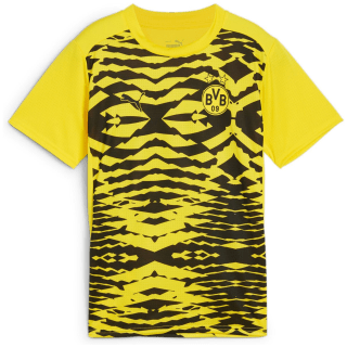 Puma Borussia Dortmund Prematch