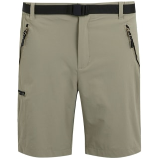Regatta Xert StrShort Iii Herren Shorts