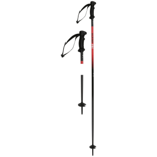 Witeblaze Alpine Pro Alpin-Skistöcke