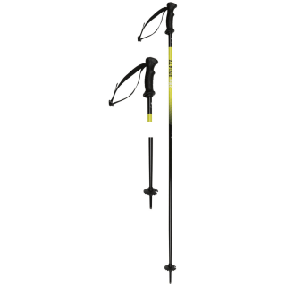 Witeblaze Alpine Pro Alpin-Skistöcke