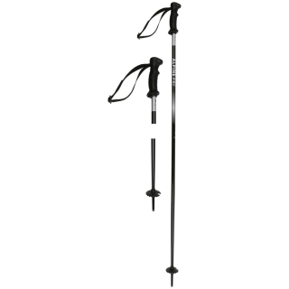 Witeblaze Alpine Pro Alpin-Skistöcke