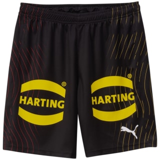 Puma DHB with Sponsor Herren Shorts