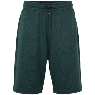 Venice Beach Nash Herren Shorts