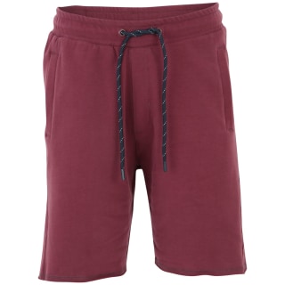 Venice Beach Aiden Herren Shorts