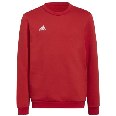Adidas Entrada 22 Sweatshirt Kinder