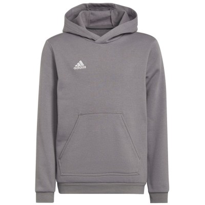 Adidas Entrada 22 Sweat Hoodie Kinder