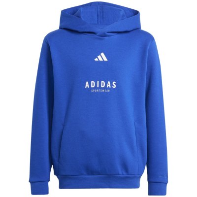 Adidas ALL SZN Graphic Kinder Kapuzensweater