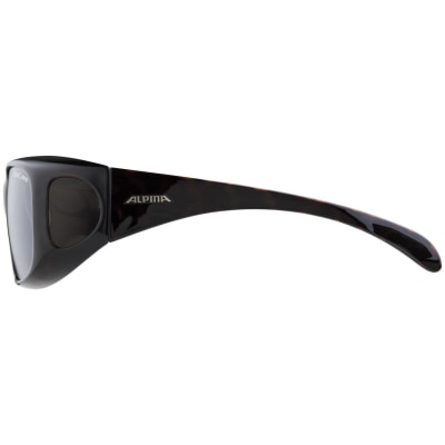 Alpina Overview Sonnenbrille Unisex