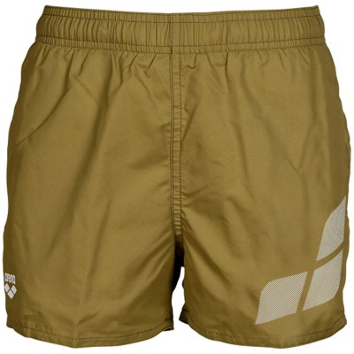 Arena Beach Logo Jungen Badehose