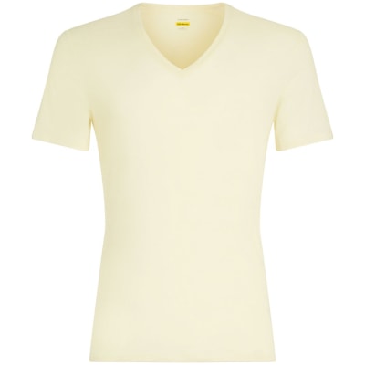 Icebreaker Anatomica V Herren Unterhemd