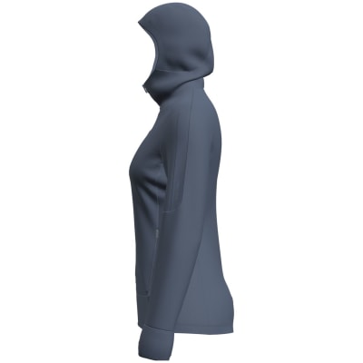 Icebreaker Merino 260 Quantum IV Zip Hoodie Damen