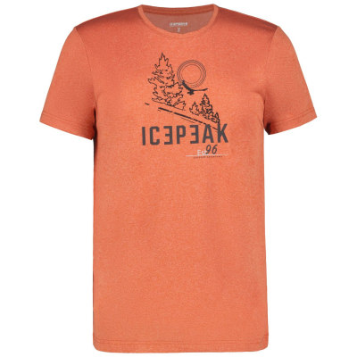 Icepeak Bearden Herren T-Shirt