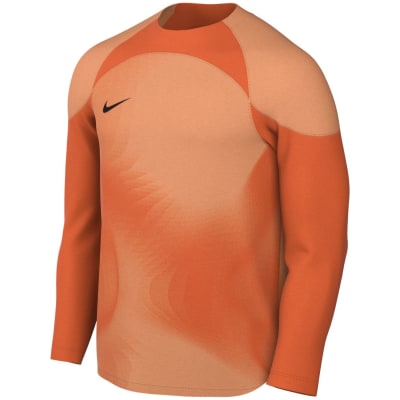Nike Dri-Fit Gardien 4 Goalkeeper Herren Trikot