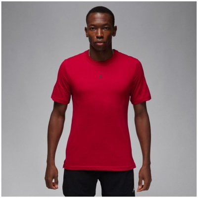 Nike Jordan Sport Dri-Fit Performance Top Herren T-Shirt