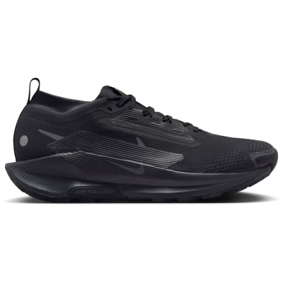 Nike Pegasus Trail 5 Gore-Tex Trail Herren Laufschuhe